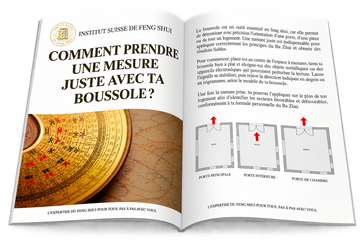 Comment utiliser un Luo Pan